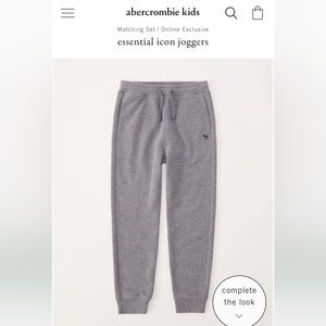 Abercrombie Kids boys essential icon joggers grey size 15/16 NWT